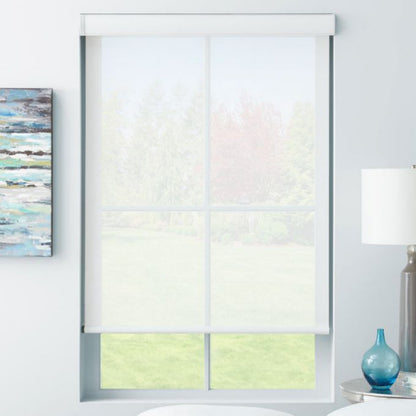 ToperBlinds Light Filtering Roller Shades 60% Blackout DY-G3720